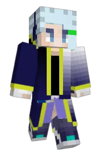 RIN96665 Minecraft avatar full body