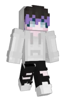 RISOL_0304 Minecraft avatar full body