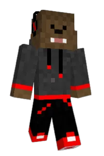 RJ13_ Minecraft avatar full body