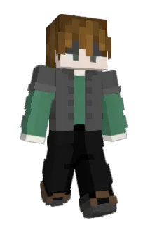 RJ1706 Minecraft avatar full body