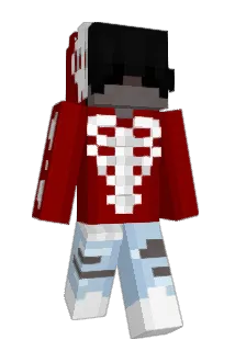 RJ511 Minecraft avatar full body