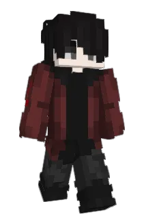 RJET490 Minecraft avatar full body