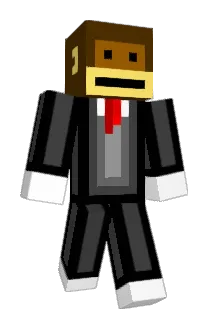 RJSAGS117 Minecraft avatar full body