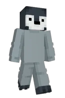 RJWinter Minecraft avatar full body