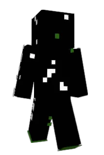 RJ_MAX Minecraft avatar full body