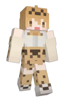 RKF50 Minecraft avatar full body