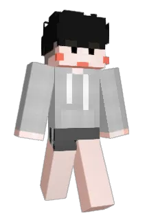 RKTIGER Minecraft avatar full body