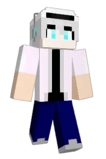 RL500 Minecraft avatar full body