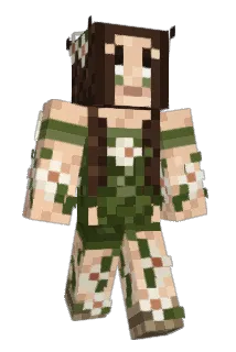 RMills1421 Minecraft avatar full body