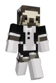 RO31 Minecraft avatar full body