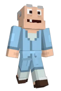 RONISINS Minecraft avatar full body