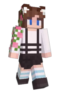 ROS3_ Minecraft avatar full body