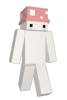 RObinHood530 Minecraft avatar full body