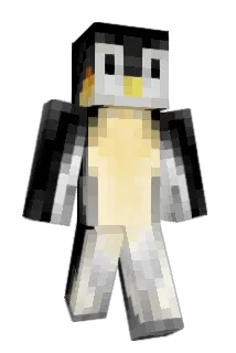 RPayne Minecraft avatar full body