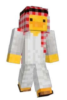 RRAA37 Minecraft avatar full body