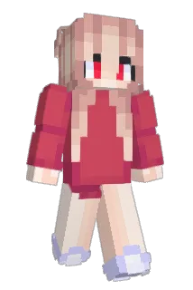 RRBJJB Minecraft avatar full body