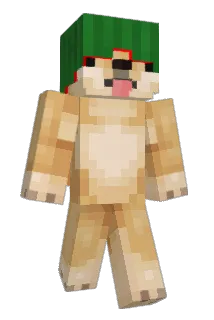 RSNGspace11 Minecraft avatar full body