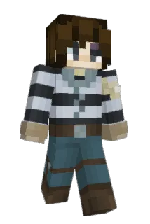 RSNinja Minecraft avatar full body