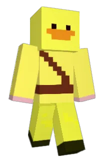 RT223 Minecraft avatar full body