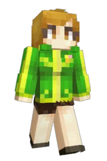 RTQ5 Minecraft avatar full body