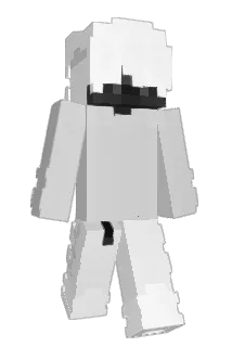 RT_SAYF Minecraft avatar full body