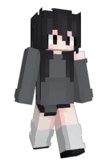 RVI14 Minecraft avatar full body
