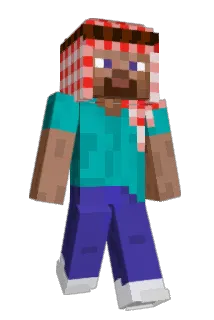 RYB35 Minecraft avatar full body