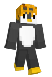 R_BR19 Minecraft avatar full body