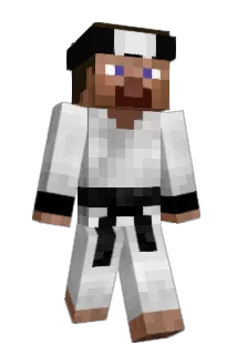 R_I_C_A_R Minecraft avatar full body