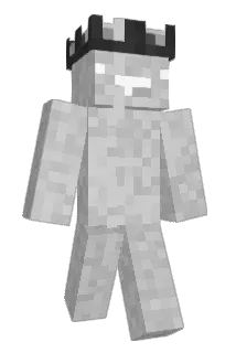 R_MWJ Minecraft avatar full body