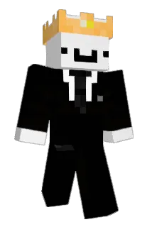 R_U_KIDN_ME Minecraft avatar full body
