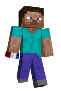 Raaptex Minecraft avatar full body