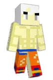 Raayyyyy Minecraft avatar full body