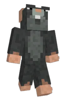 Rabago_ Minecraft avatar full body