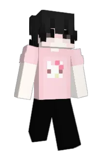 Rabohez Minecraft avatar full body