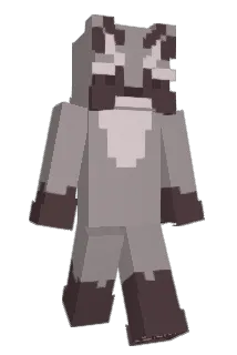 Rac00nM4n Minecraft avatar full body