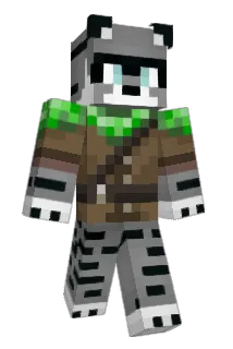 Rac00nSorcier Minecraft avatar full body