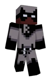 Racc00nMan1348 Minecraft avatar full body