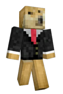 Raccalicious Minecraft avatar full body