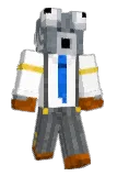 Raccspoon Minecraft avatar full body