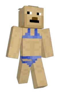 Racer1_0 Minecraft avatar full body