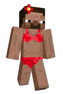 Racer5644 Minecraft avatar full body