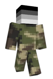 RacerWill Minecraft avatar full body