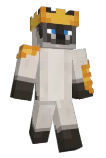 Racinesa Minecraft avatar full body