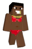 RacistHomo Minecraft avatar full body