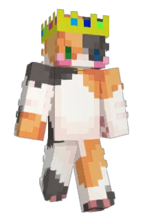 Racoon_Prime Minecraft avatar full body