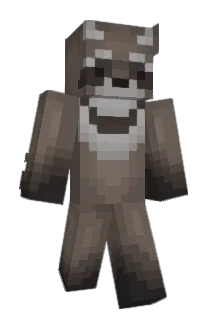 Racoonis Minecraft avatar full body