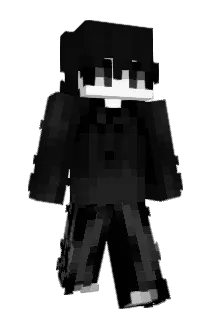 Radarek8 Minecraft avatar full body