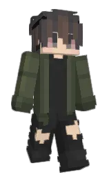 Custom render preview