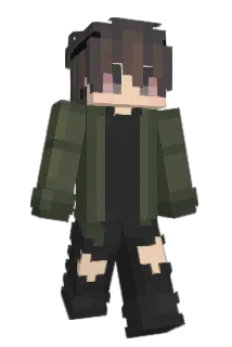Radiaint Minecraft avatar full body